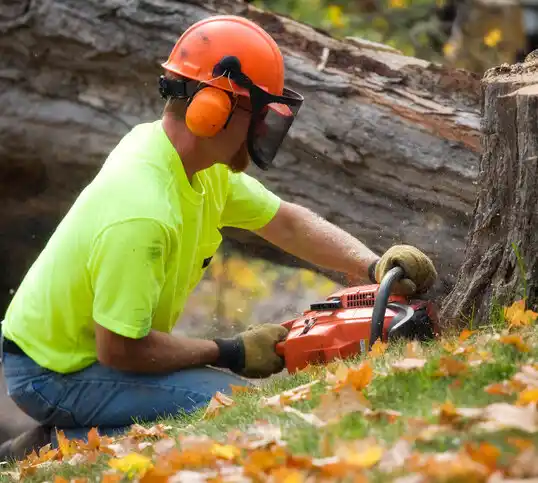 tree services Tuxedo Park